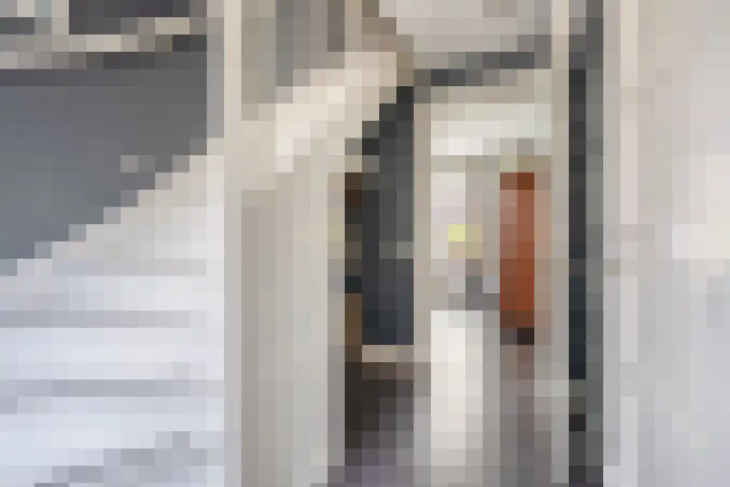 Korte Nieuwstraat 22 Sprang-Capelle thumbnail 7