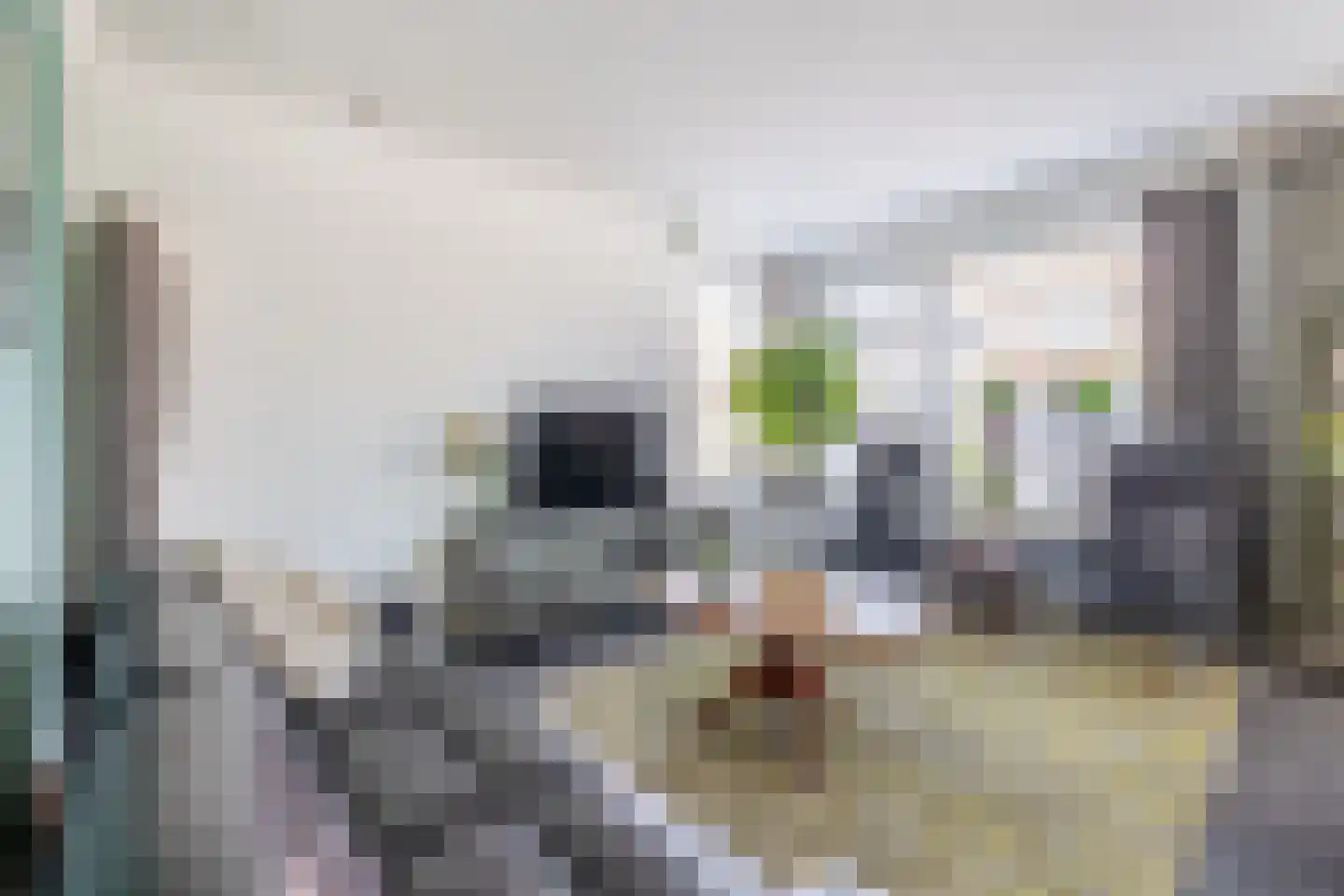 Korte Nieuwstraat 22 Sprang-Capelle thumbnail 8
