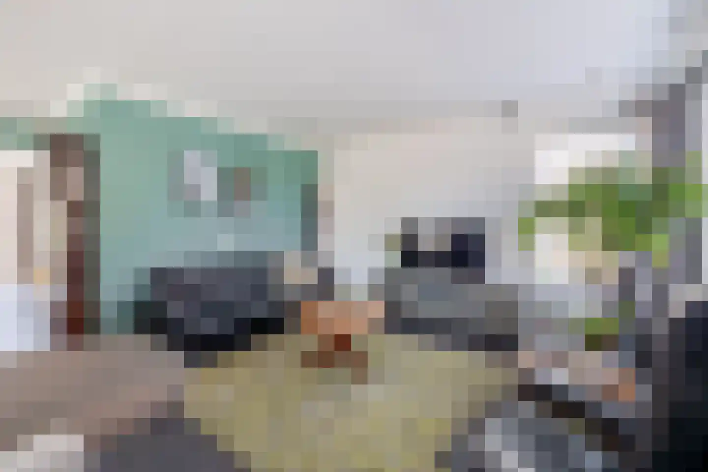 Korte Nieuwstraat 22 Sprang-Capelle thumbnail 9