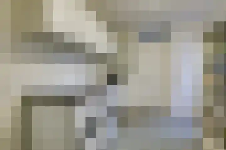 Korte Nieuwstraat 3 Pannerden thumbnail 37