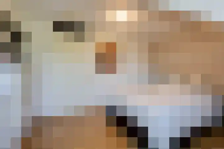Korte Nieuwstraat 3 Pannerden thumbnail 42