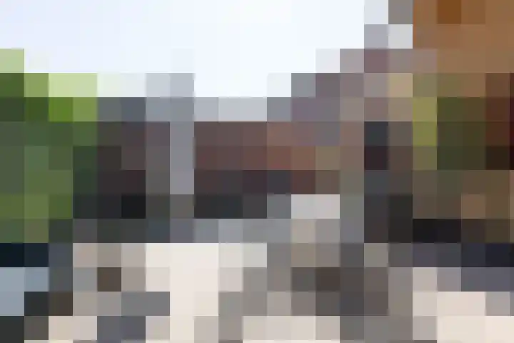 Korte Nieuwstraat 3 Pannerden thumbnail 56
