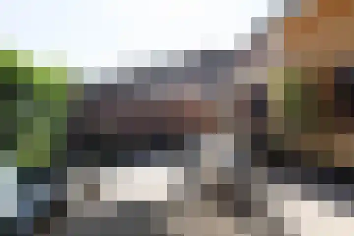 Korte Nieuwstraat 3 Pannerden thumbnail 57