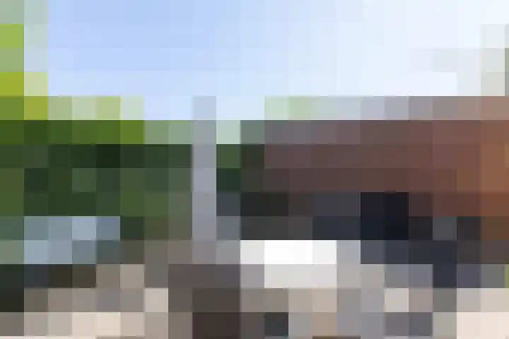 Korte Nieuwstraat 3 Pannerden thumbnail 58