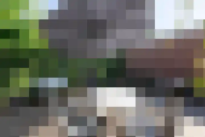 Korte Nieuwstraat 3 Pannerden thumbnail 59