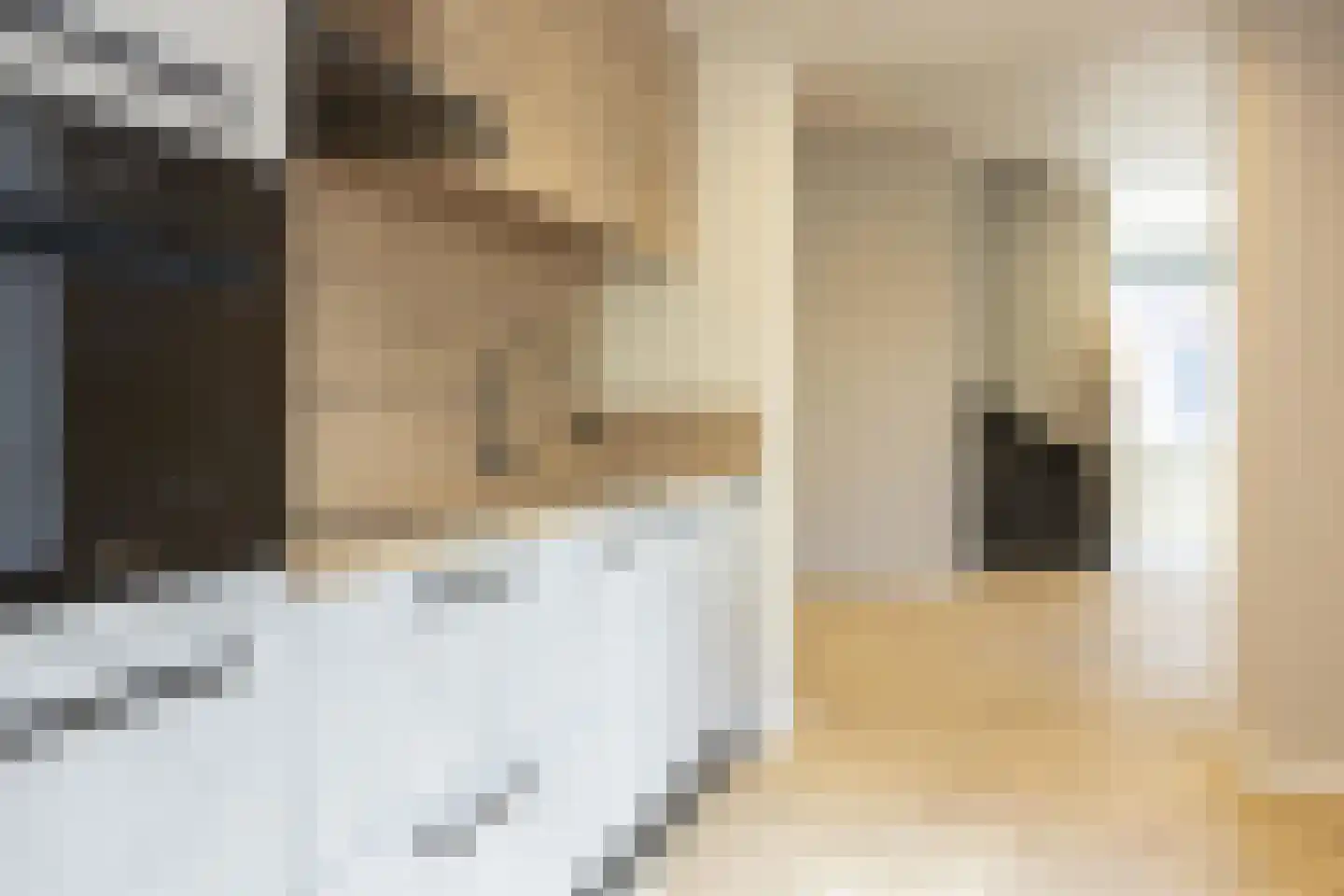 Korte Nieuwstraat 3 Tilburg thumbnail 10