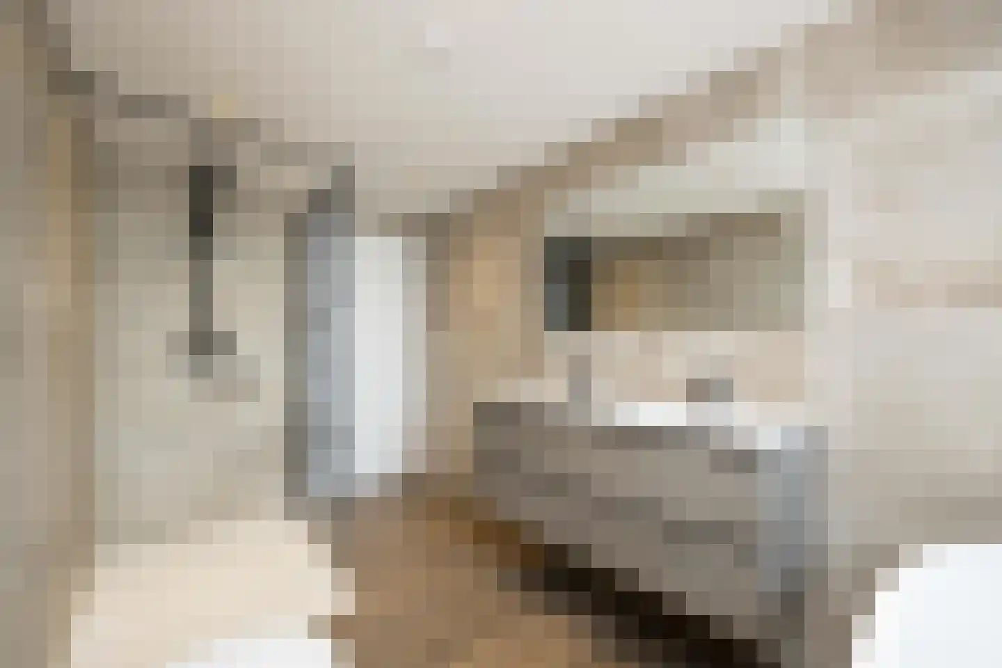 Korte Nieuwstraat 3 Tilburg thumbnail 22