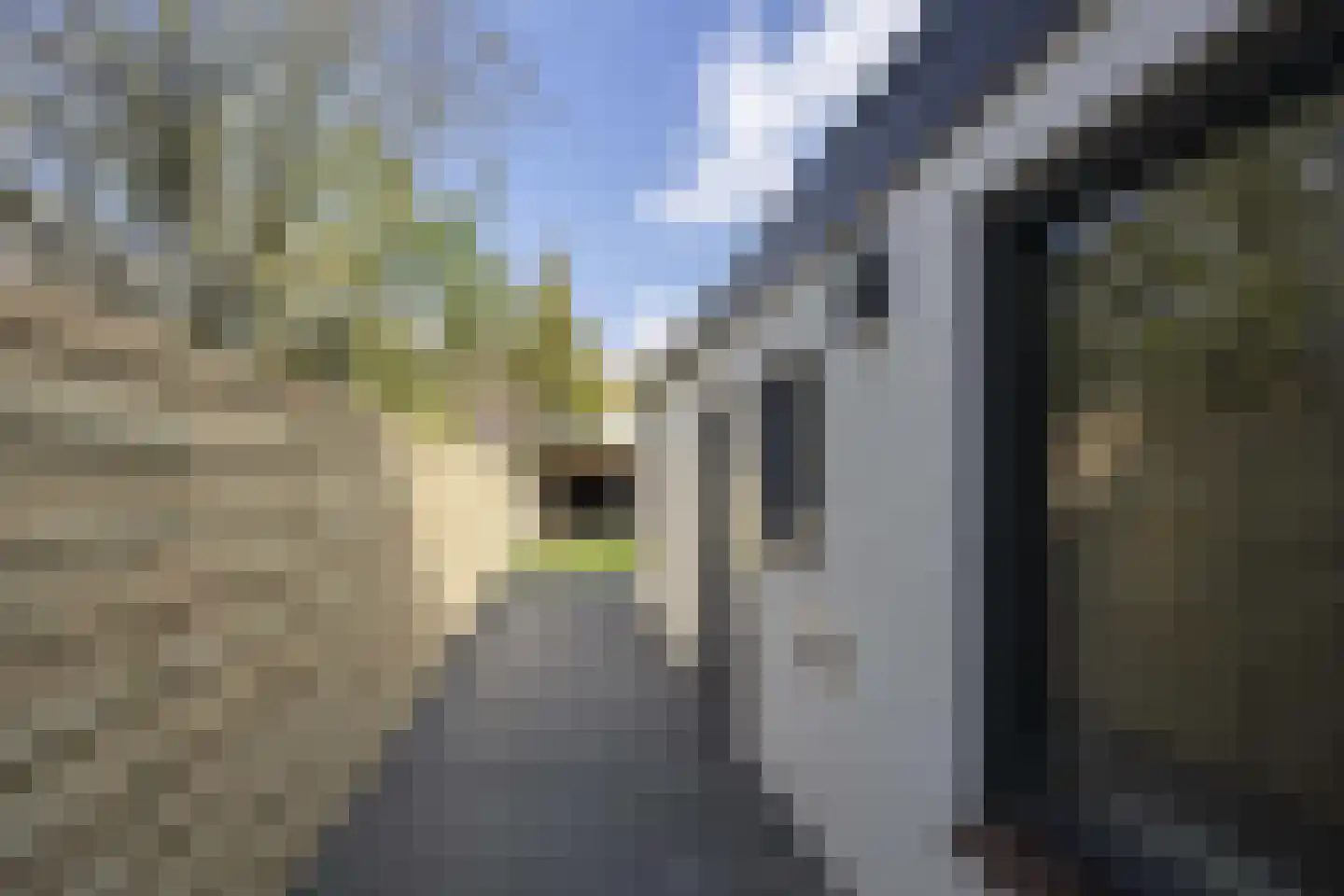 Korte Nieuwstraat 3 Tilburg thumbnail 25