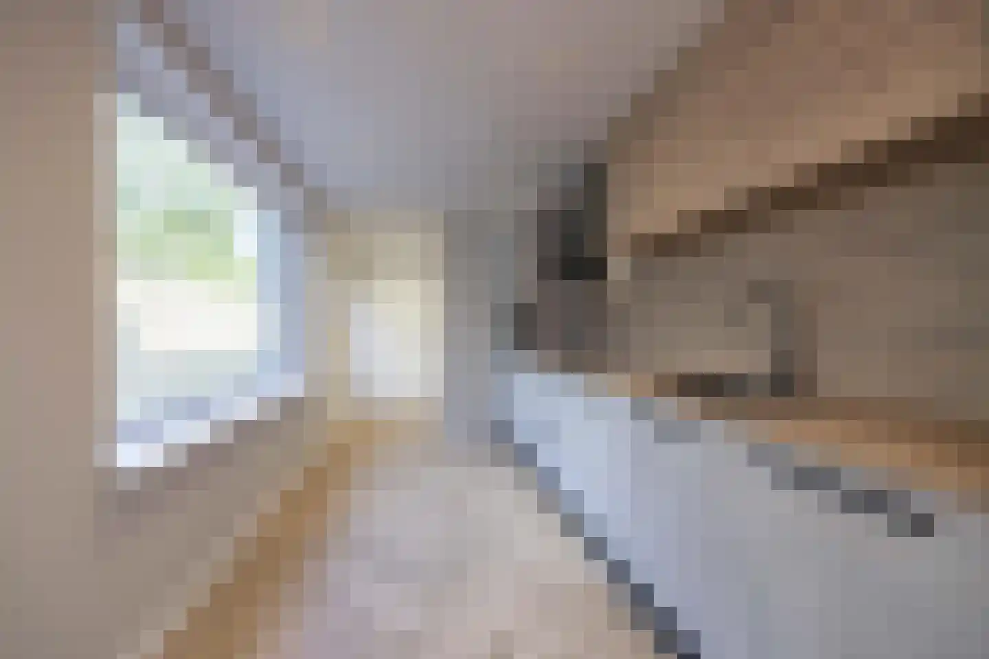 Korte Nieuwstraat 3 Tilburg thumbnail 9