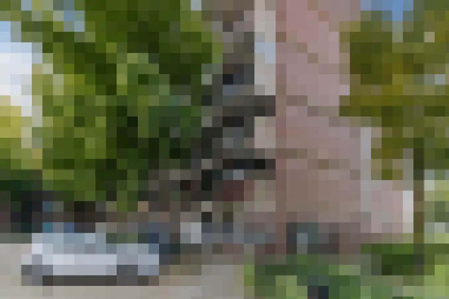 Korte Nieuwstraat 34 Tilburg thumbnail 17