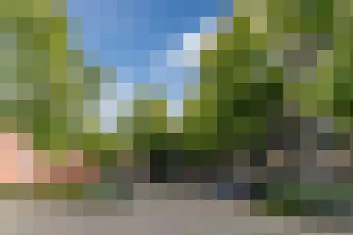 Korte Nieuwstraat 48 Tilburg thumbnail 16