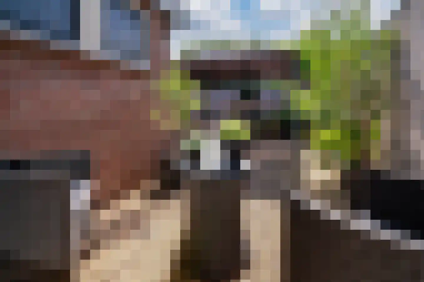 Korte Nieuwstraat 5 Pannerden thumbnail 21