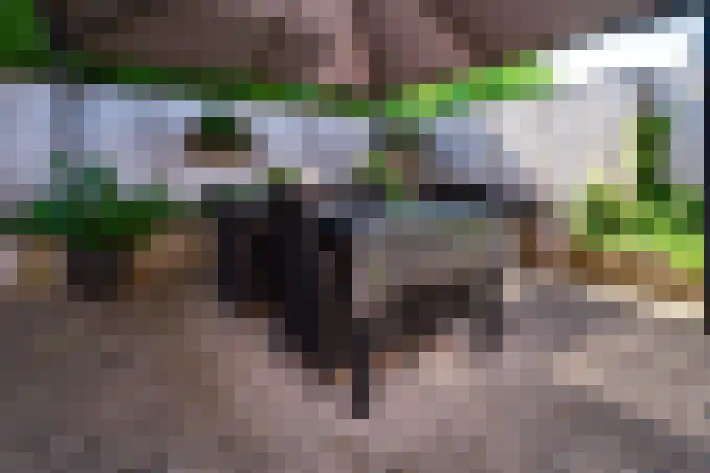 Korte Nieuwstraat 5 Pannerden thumbnail 23