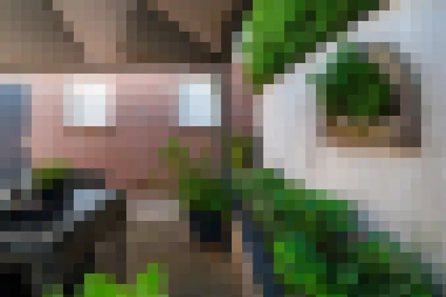 Korte Nieuwstraat 5 Pannerden thumbnail 24