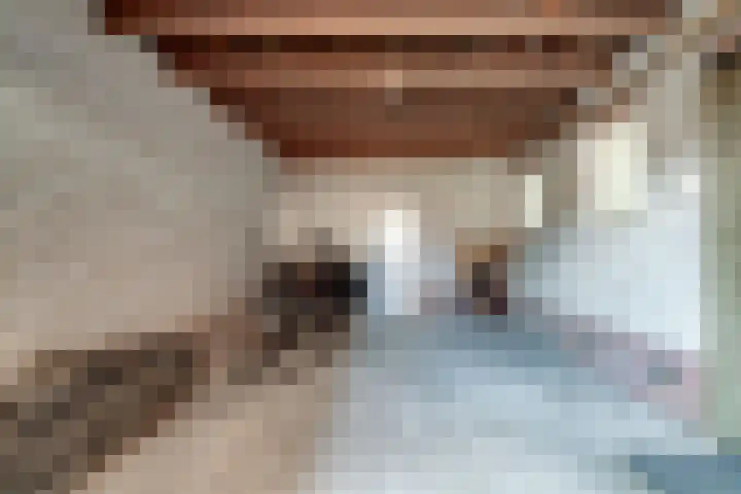 Korte Nieuwstraat 5 Pannerden thumbnail 26