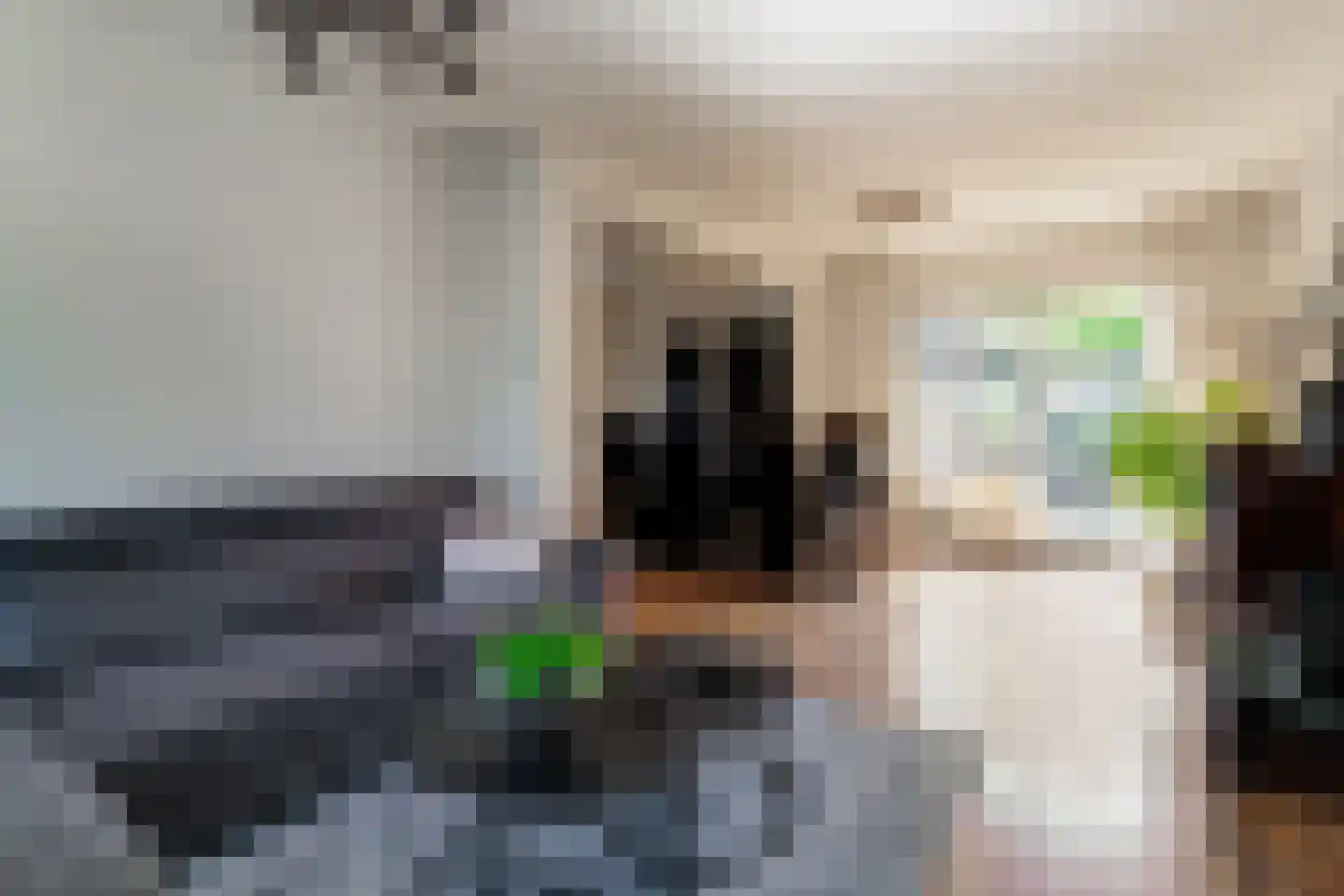 Korte Nieuwstraat 5 Pannerden thumbnail 28