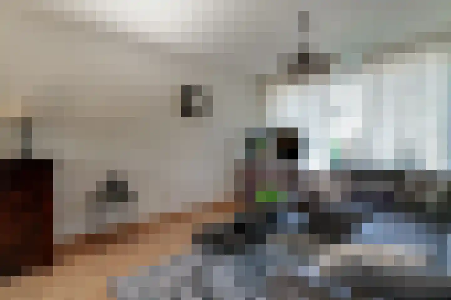 Korte Nieuwstraat 5 Pannerden thumbnail 30