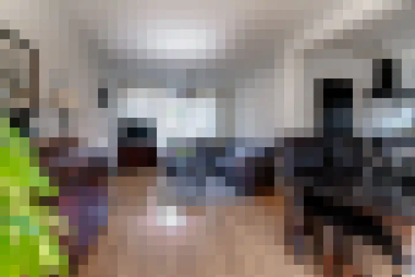 Korte Nieuwstraat 5 Pannerden thumbnail 31