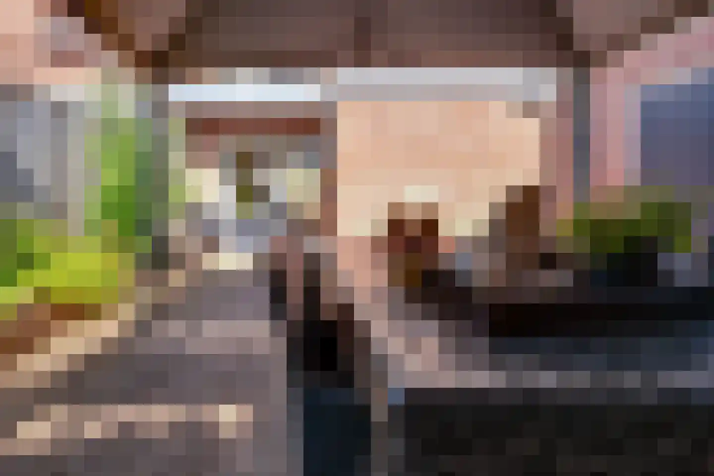 Korte Nieuwstraat 5 Pannerden thumbnail 4