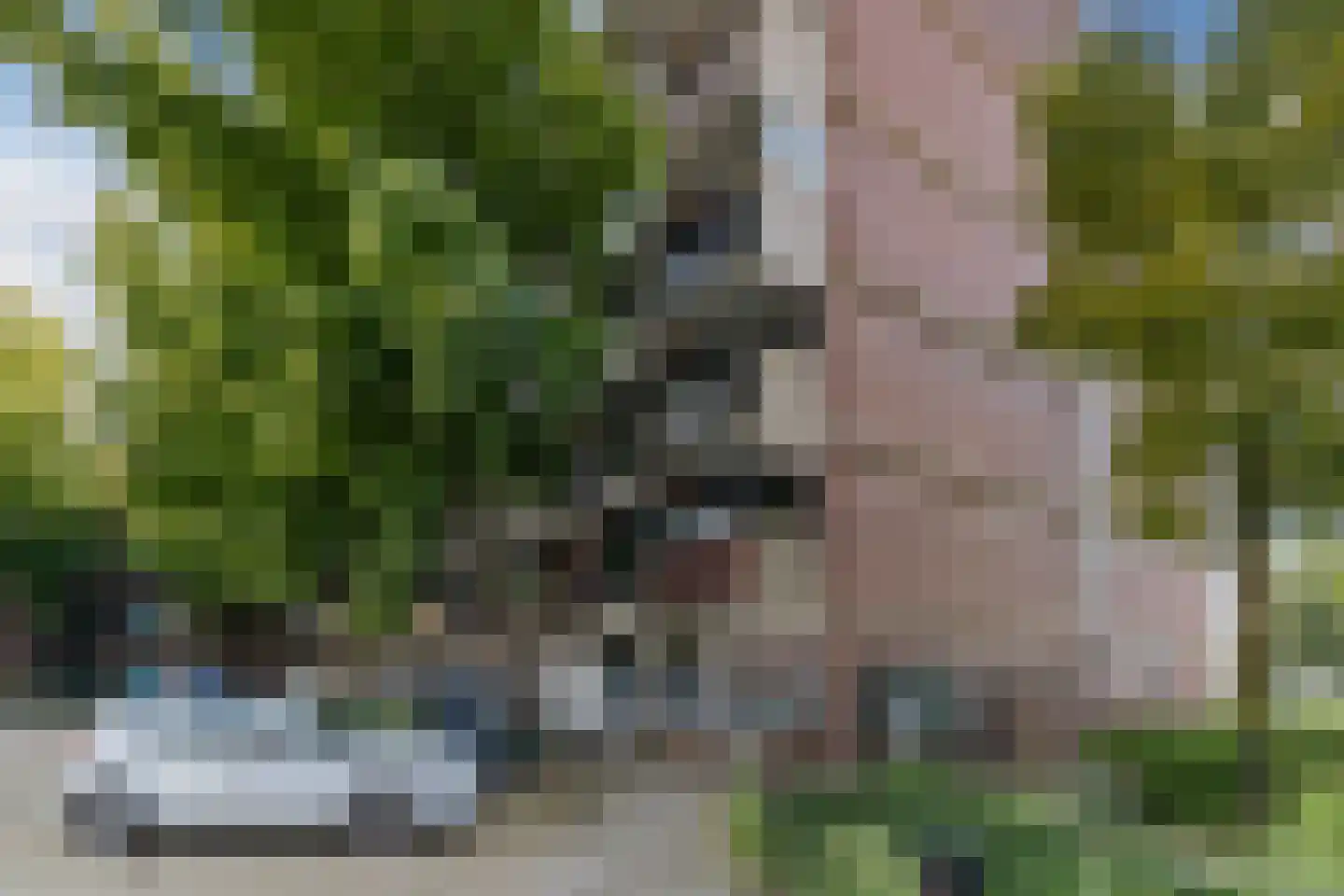 Korte Nieuwstraat 62 Tilburg thumbnail 16