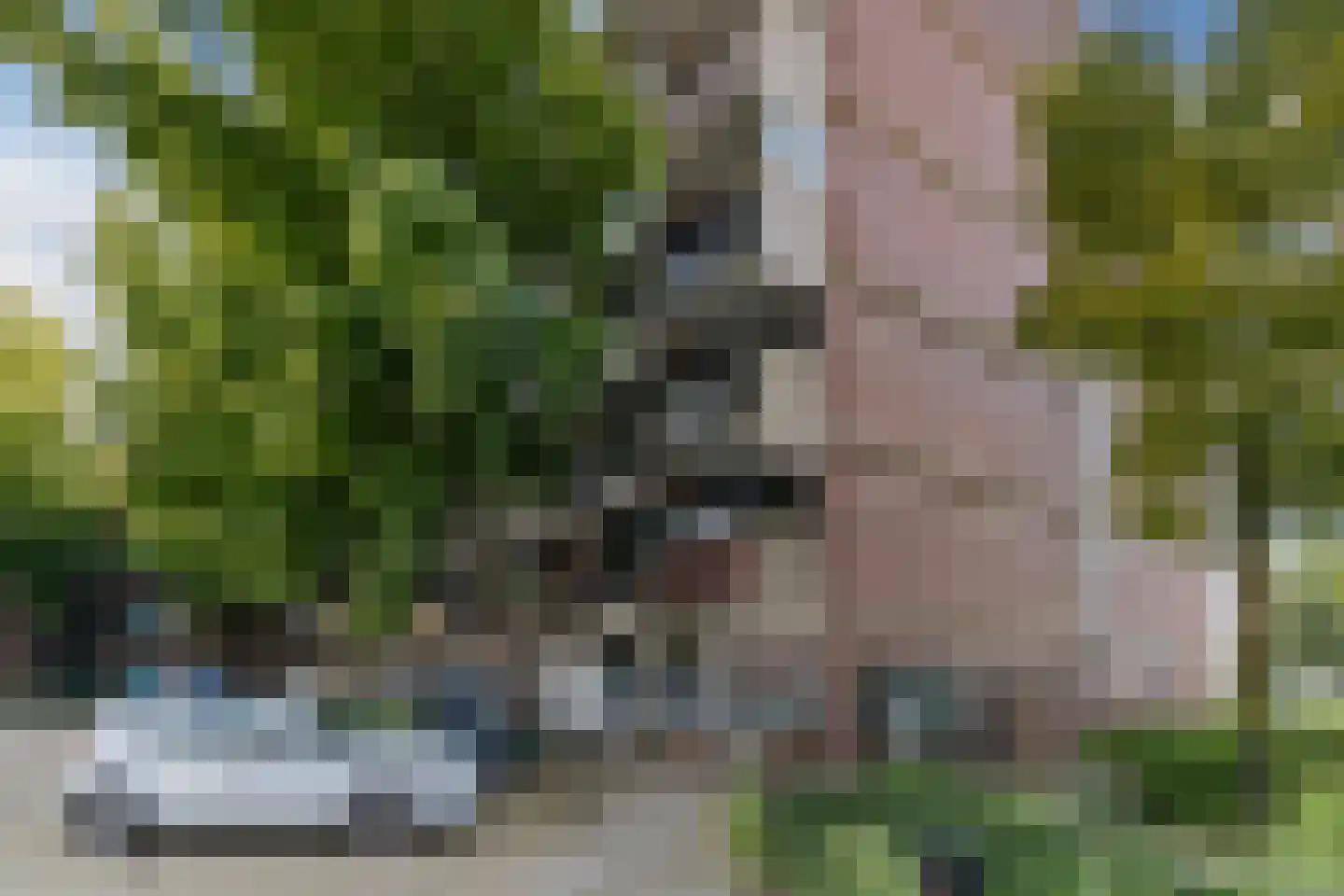 Korte Nieuwstraat 64 Tilburg thumbnail 16