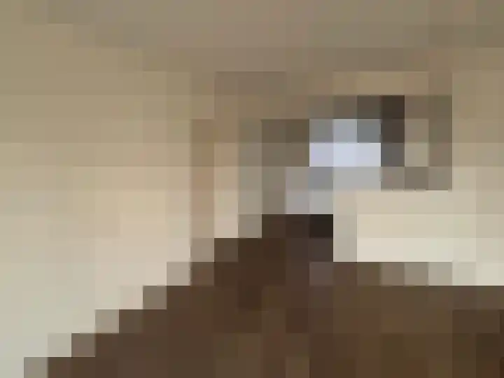 Korte Nieuwstraat 94 Tilburg thumbnail 4