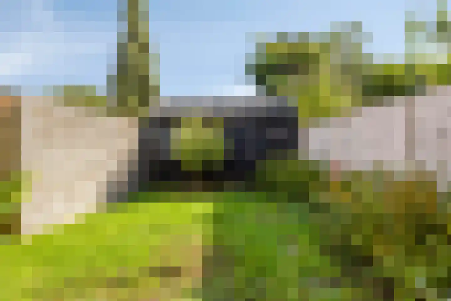 Korte Nobelstraat 16 Zierikzee thumbnail 32
