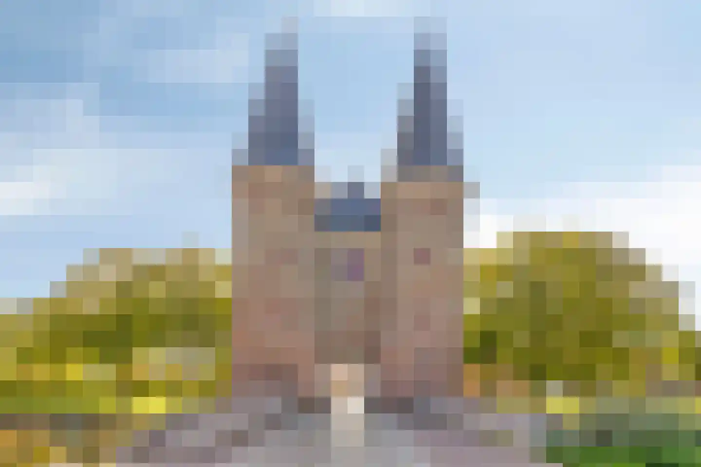 Korte Nobelstraat 16 Zierikzee thumbnail 38