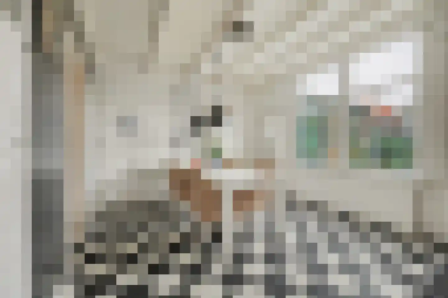 Korte Nobelstraat 24 Zierikzee thumbnail 13