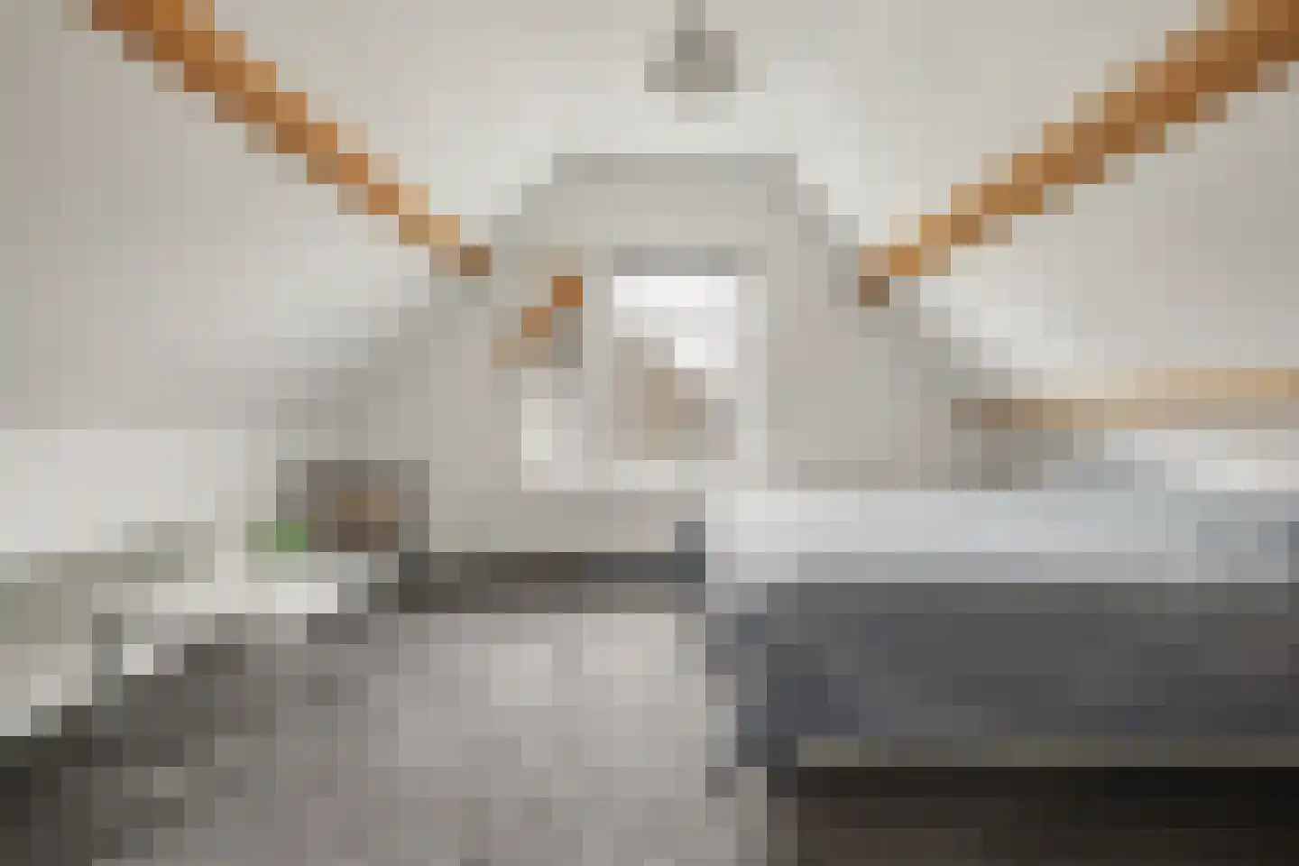 Korte Nobelstraat 24 Zierikzee thumbnail 19