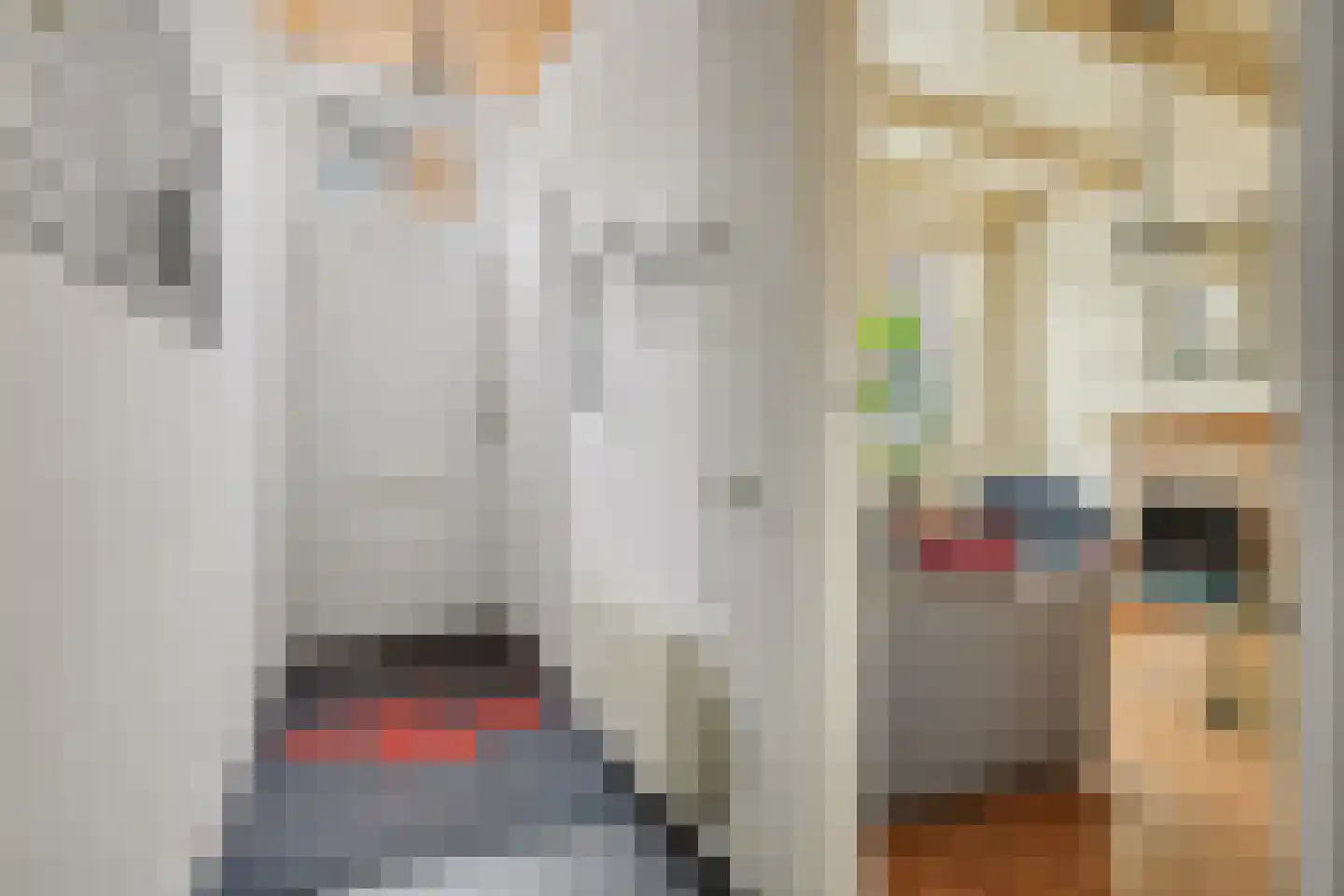 Korte Nobelstraat 24 Zierikzee thumbnail 9