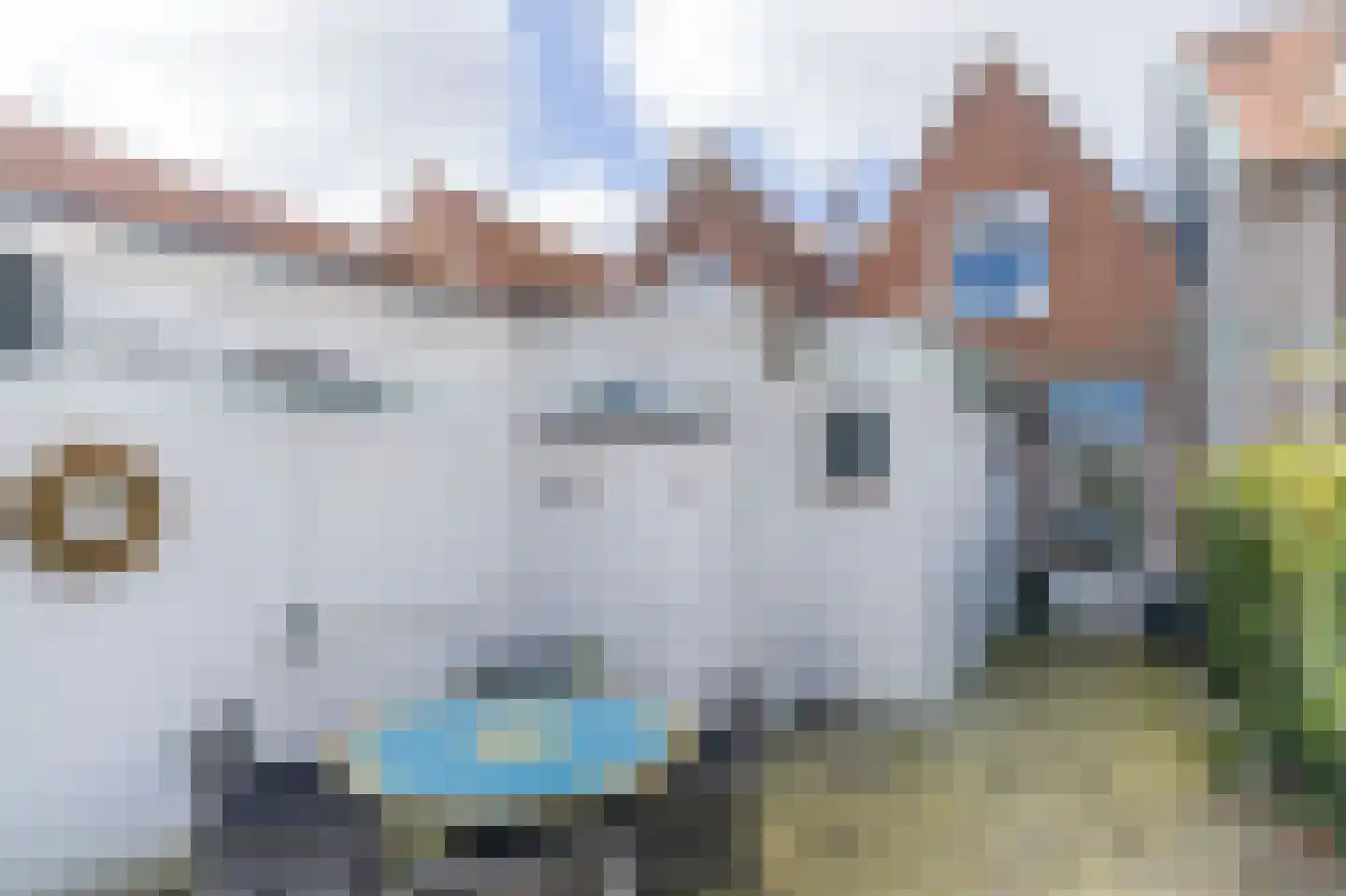 Korte Nobelstraat 32 Zierikzee thumbnail 17