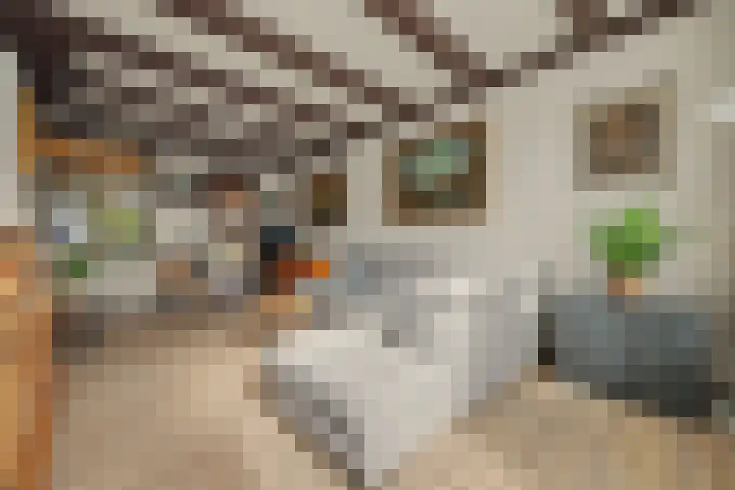 Korte Nobelstraat 9 Zierikzee thumbnail 8