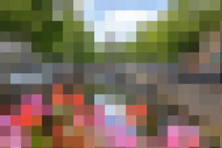 Korte Noodgodsstraat 2 b Gouda thumbnail 16