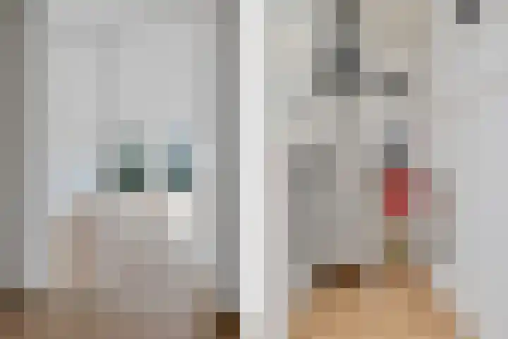 Korte Noorderend 2 Hillegom thumbnail 14