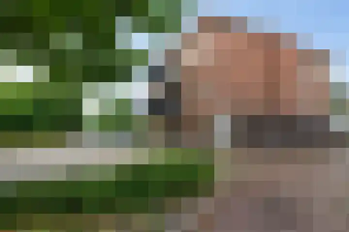 Korte Noorderend 2 Hillegom thumbnail 26