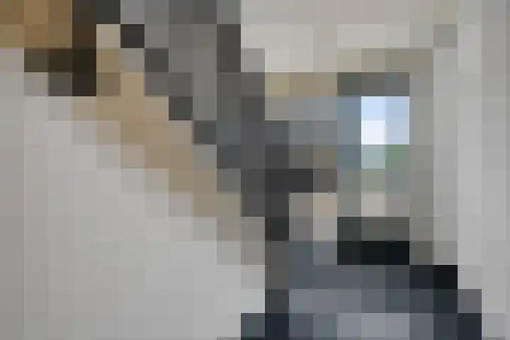 Korte Noorderend 2 Hillegom thumbnail 27