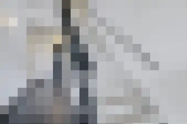 Korte Noorderend 2 Hillegom thumbnail 28