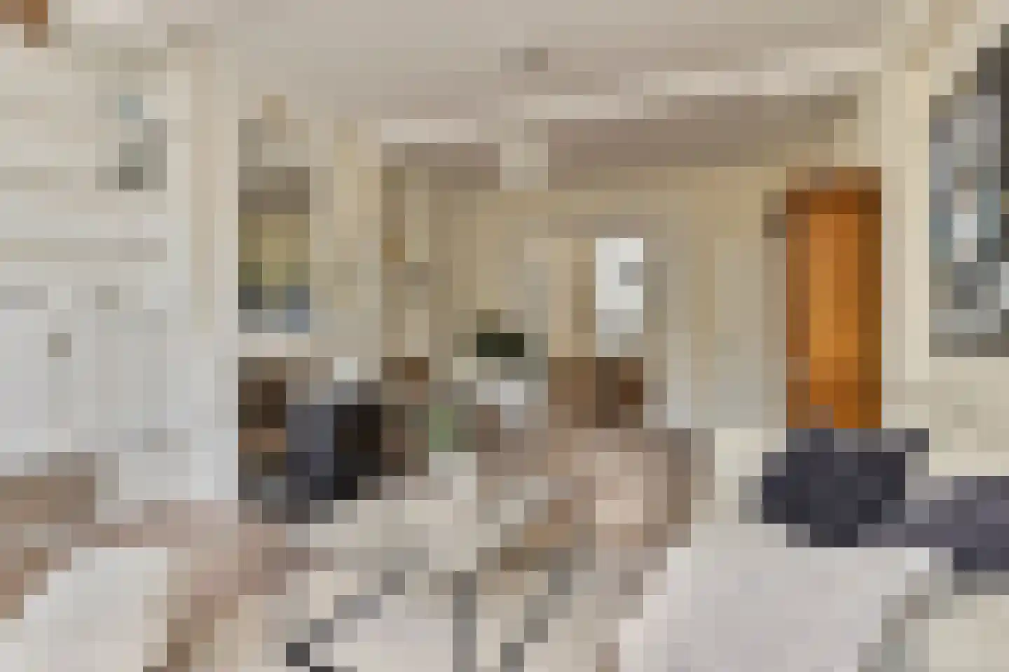 Korte Noordstraat 37 Middelburg thumbnail 15