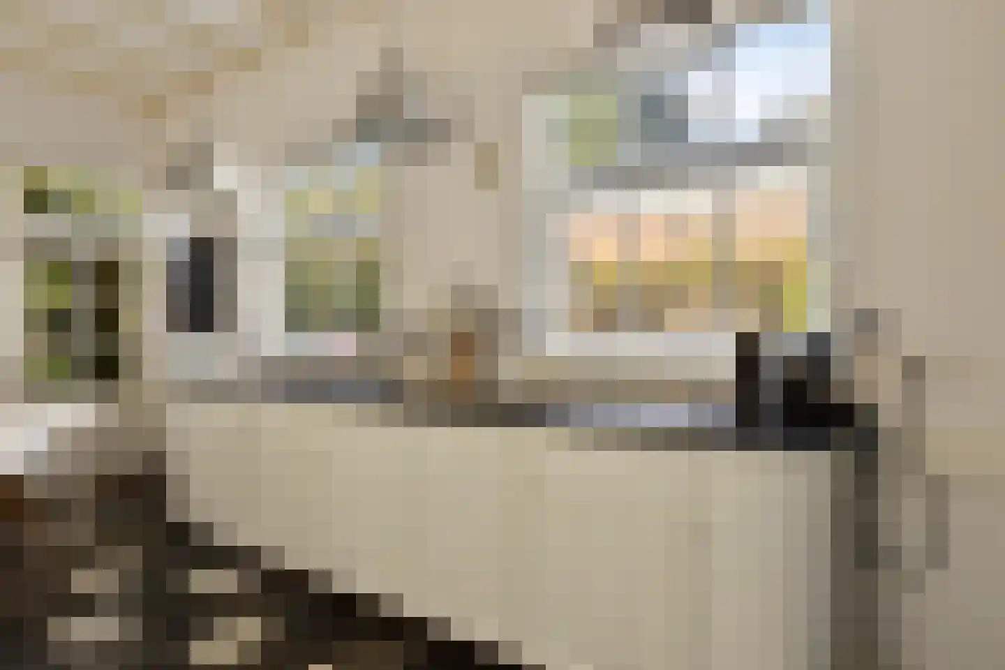 Korte Noordstraat 37 Middelburg thumbnail 31