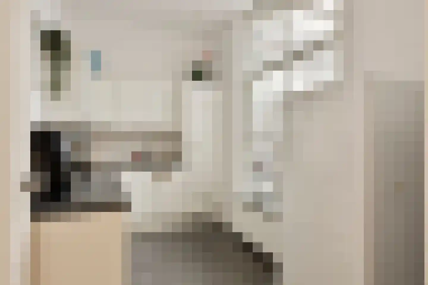 Korte Noordstraat 37 Middelburg thumbnail 36