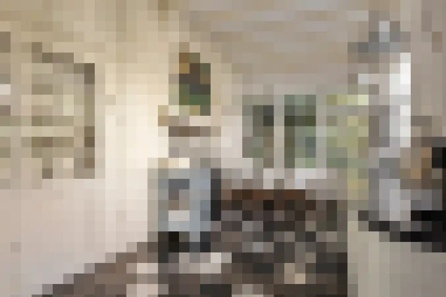 Korte Noordstraat 37 Middelburg thumbnail 4