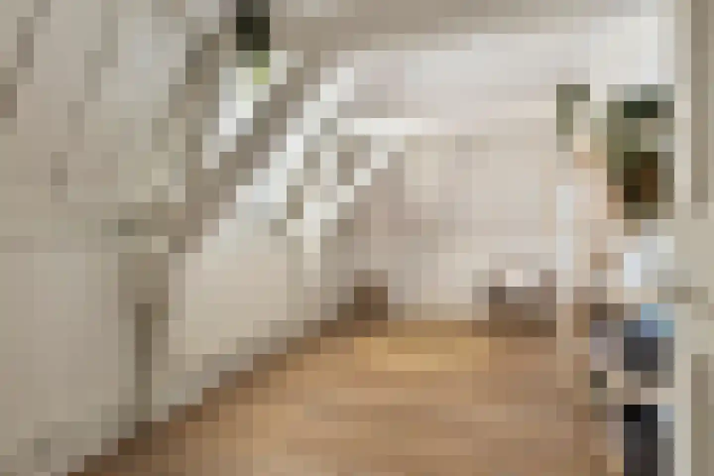 Korte Noordstraat 37 Middelburg thumbnail 62
