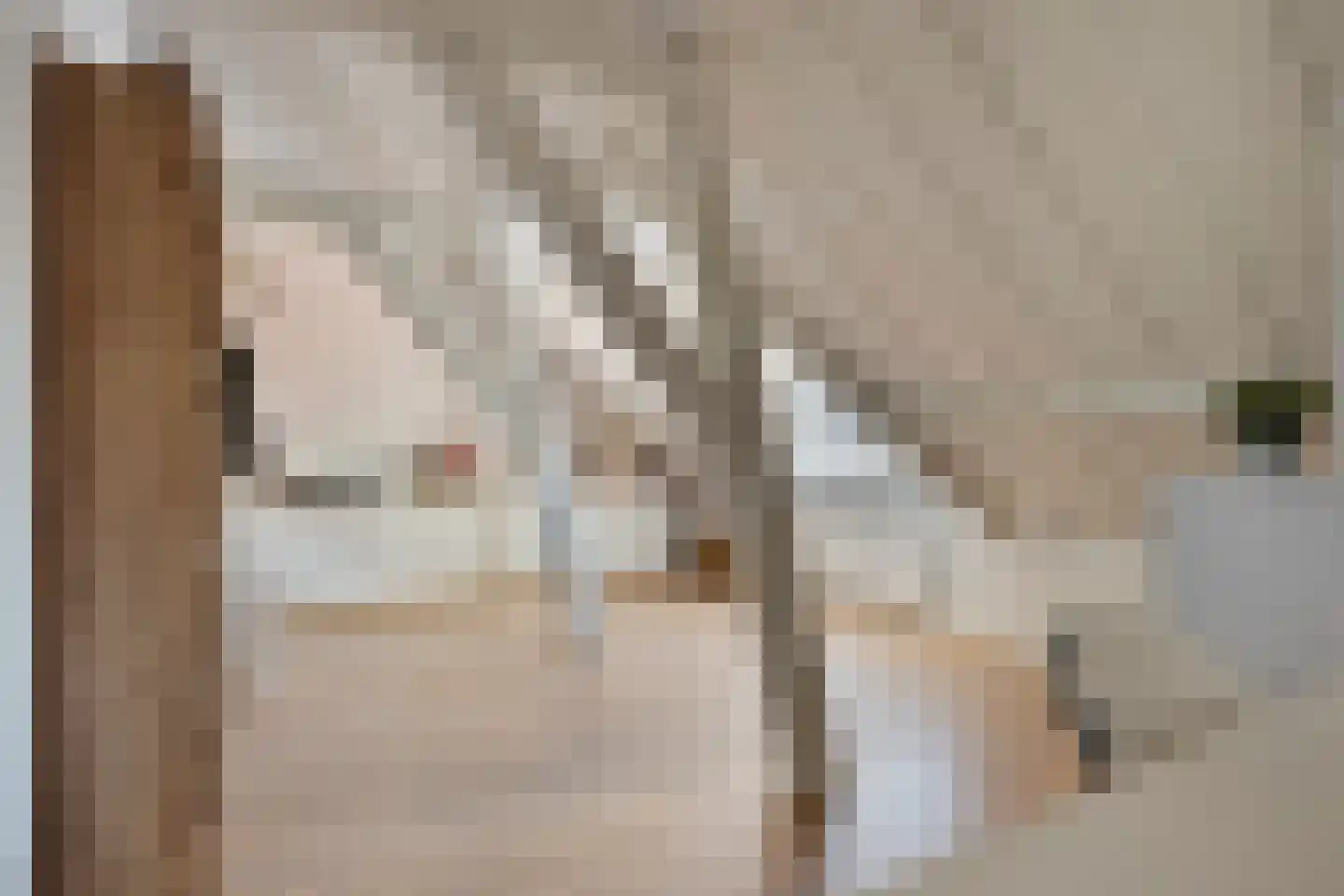 Korte Noordstraat 37 Middelburg thumbnail 64