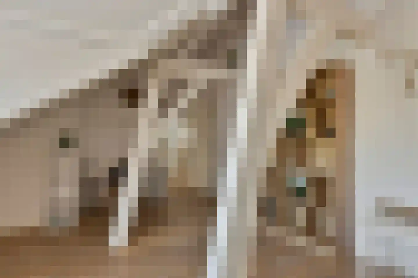 Korte Noordstraat 37 Middelburg thumbnail 65