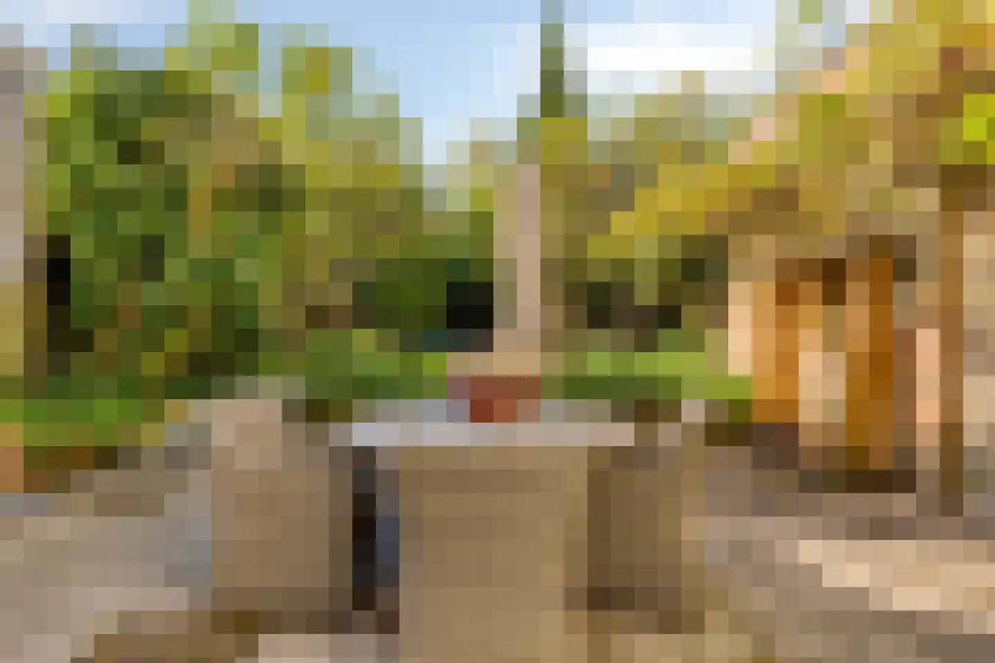Korte Noordstraat 37 Middelburg thumbnail 67