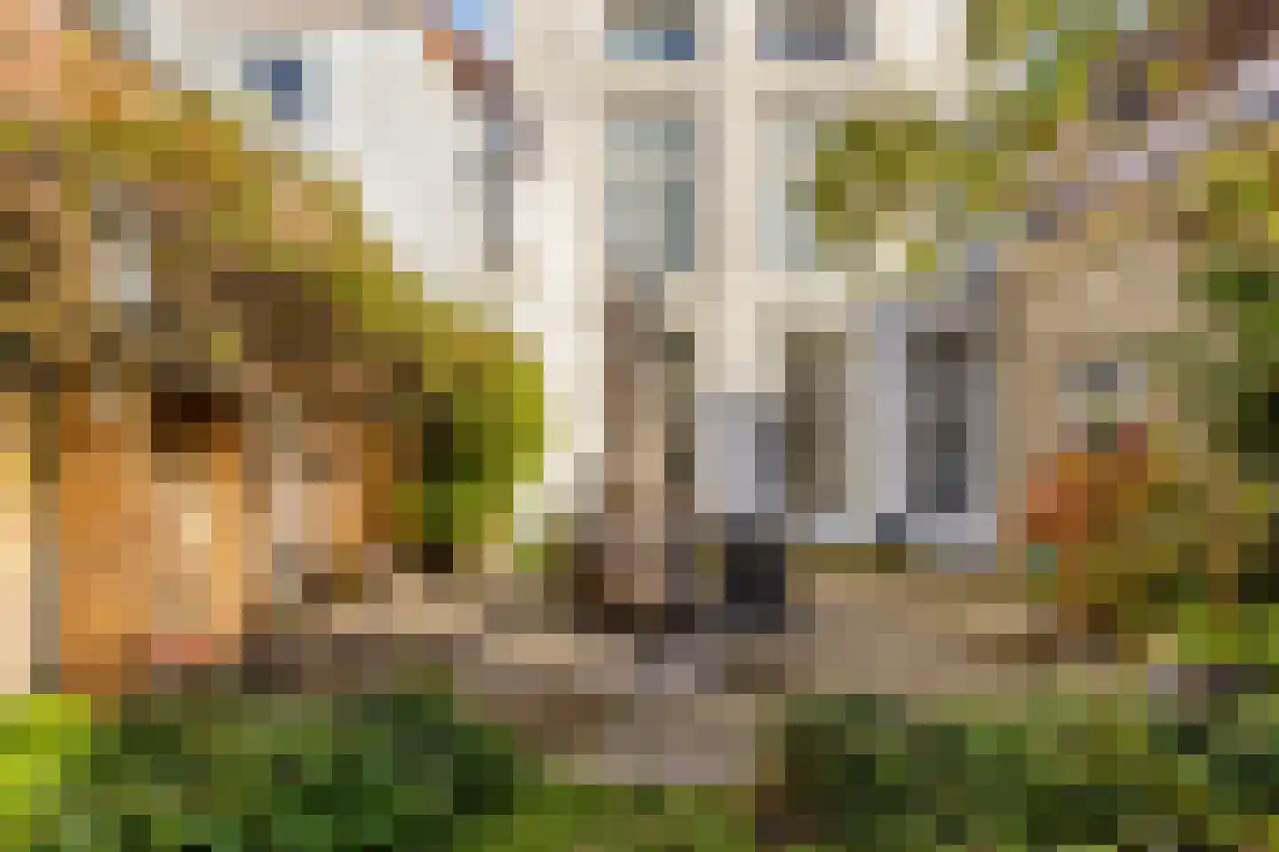 Korte Noordstraat 37 Middelburg thumbnail 68