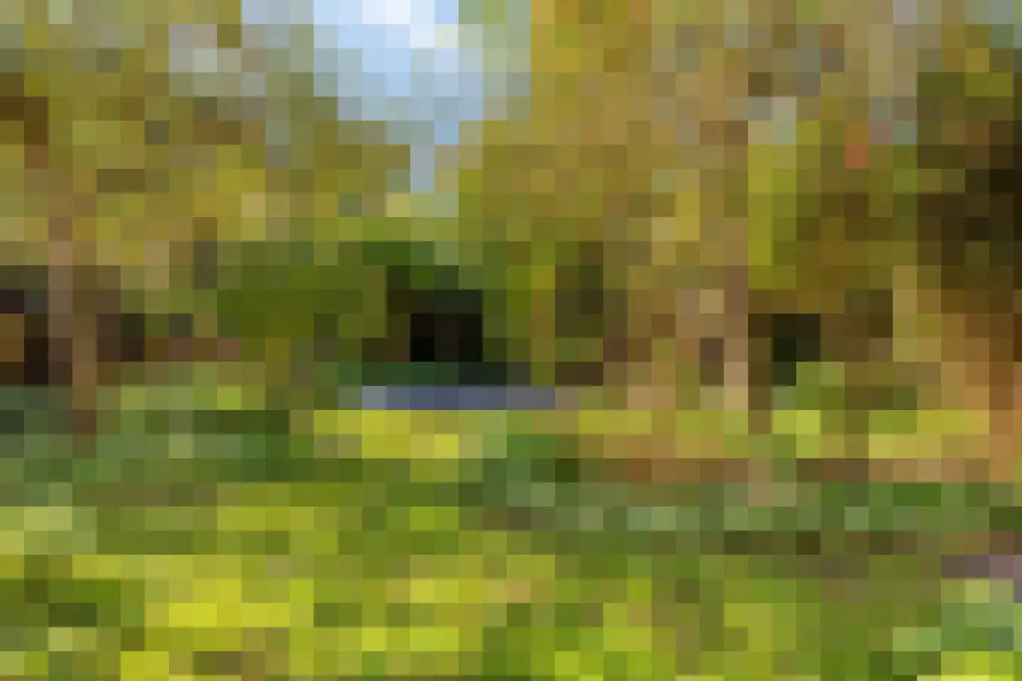 Korte Noordstraat 37 Middelburg thumbnail 69