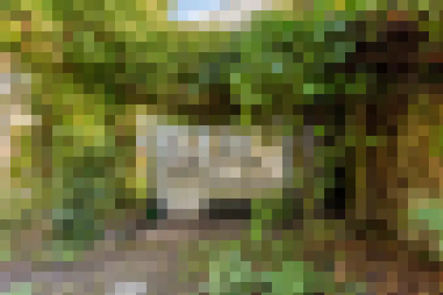 Korte Noordstraat 37 Middelburg thumbnail 70