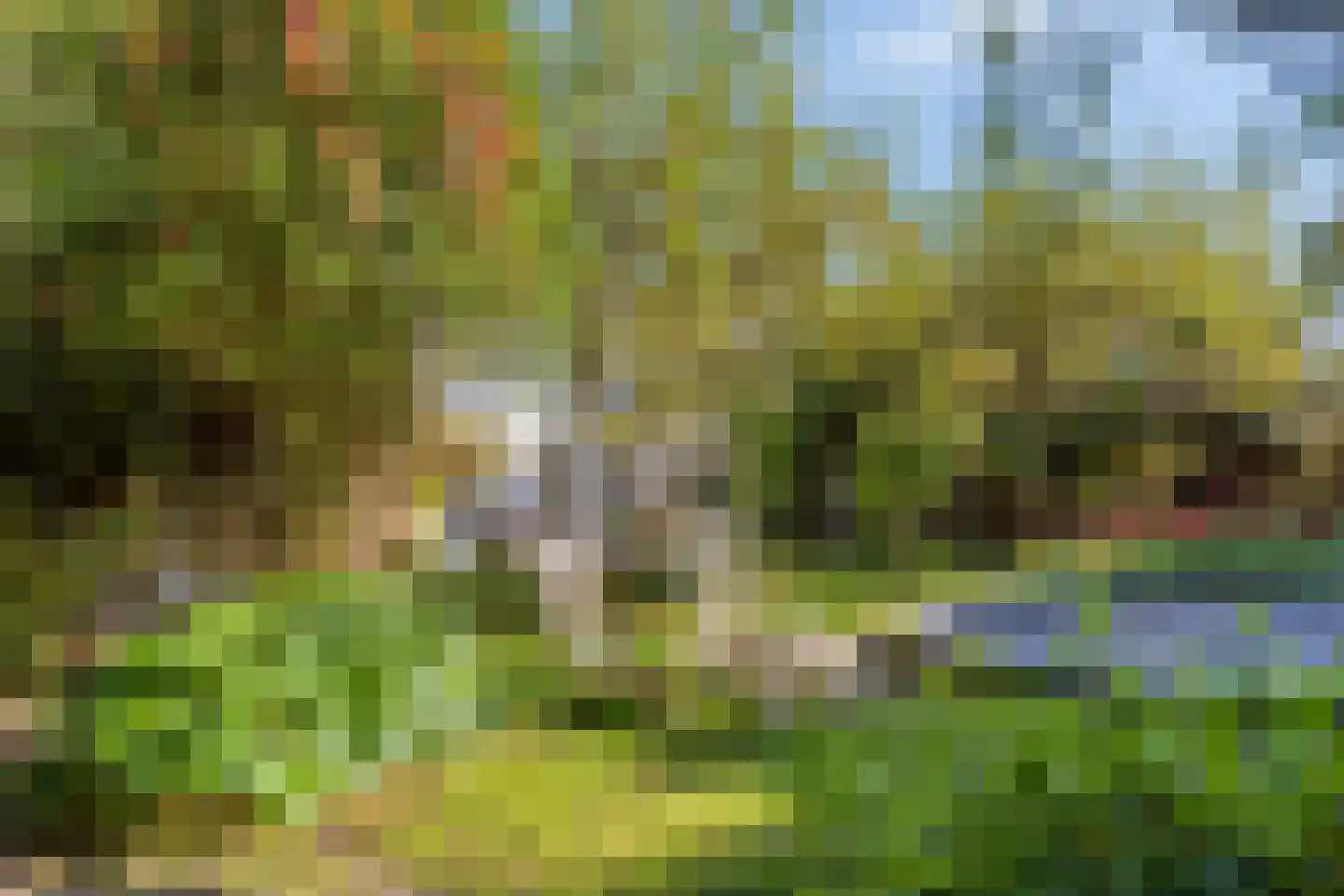 Korte Noordstraat 37 Middelburg thumbnail 73